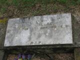 image of grave number 455595